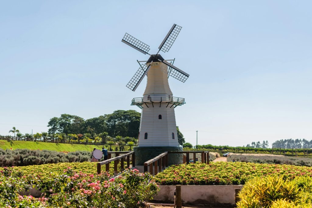 A picturesque windmill amidst blooming flowers in Holambra, Brazil, under a clear blue sky.
